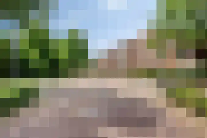 Smelen 102 Veldhoven thumbnail 36