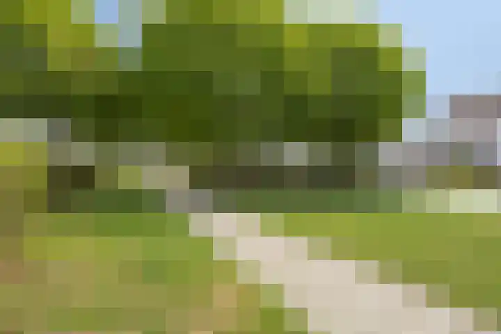 Smelen 102 Veldhoven thumbnail 37