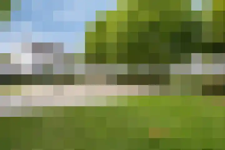 Smelen 102 Veldhoven thumbnail 38