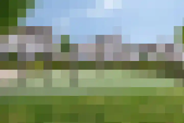 Smelen 102 Veldhoven thumbnail 39