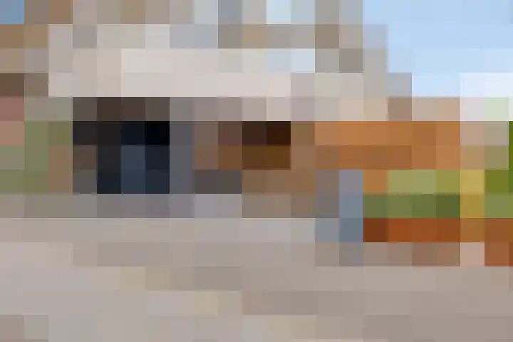 Smelen 102 Veldhoven thumbnail 41