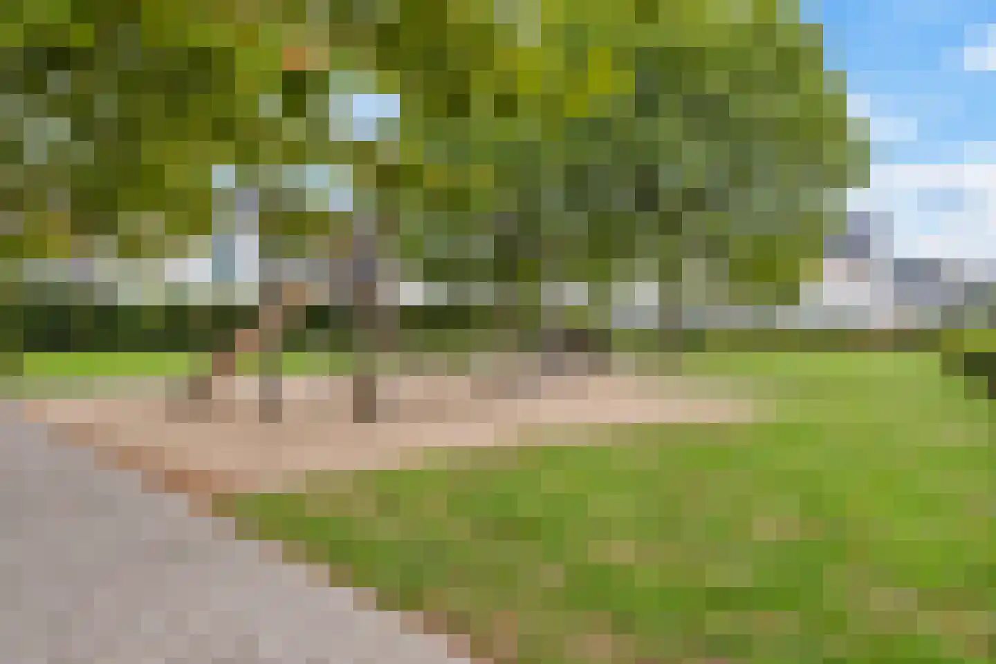 Smelen 104 Veldhoven thumbnail 37