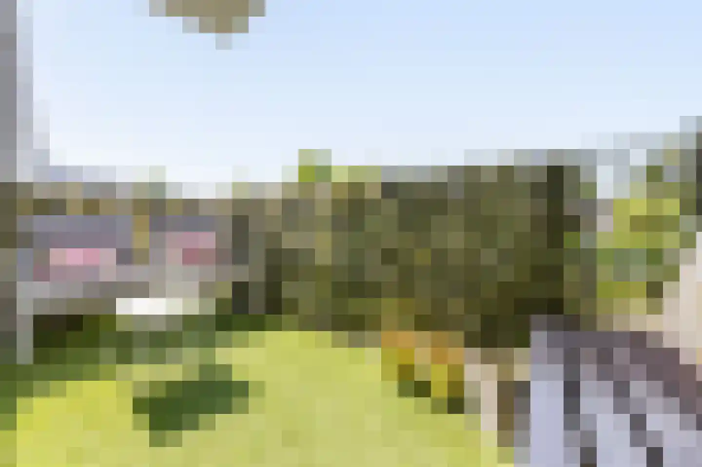 Smelen 3 Veldhoven thumbnail 19