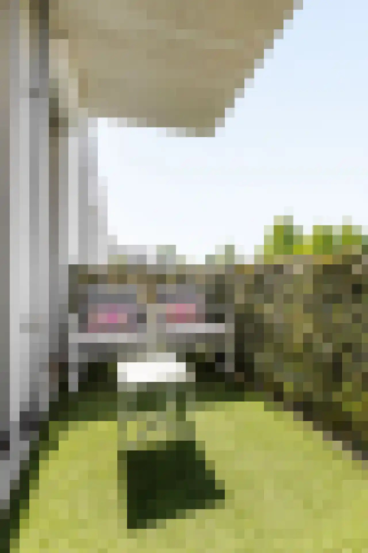 Smelen 3 Veldhoven thumbnail 20