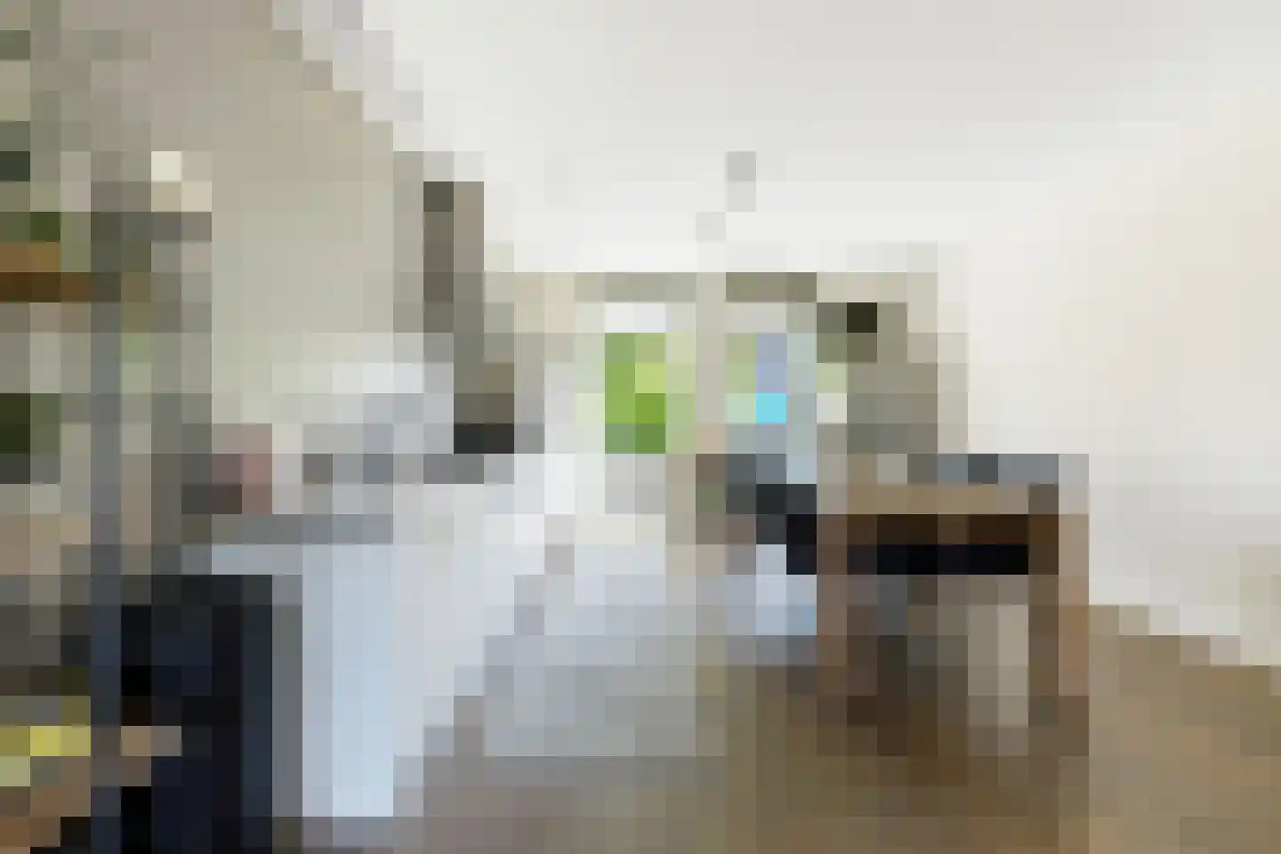 Smelen 3 Veldhoven thumbnail 9