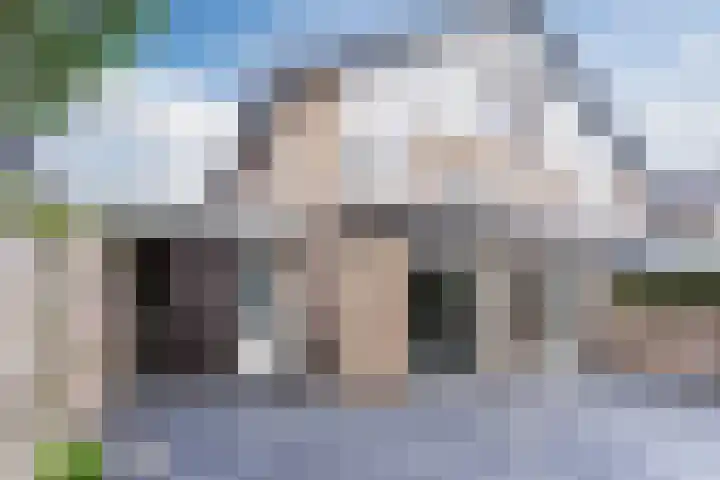 Smelen 37 Veldhoven thumbnail 36