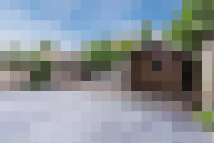 Smelen 37 Veldhoven thumbnail 39