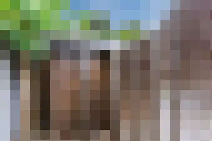 Smelen 37 Veldhoven thumbnail 40