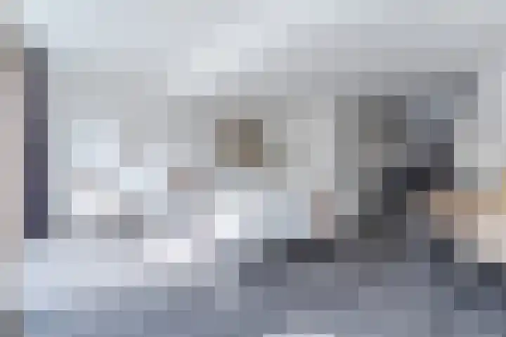 Smelen 37 Veldhoven thumbnail 7