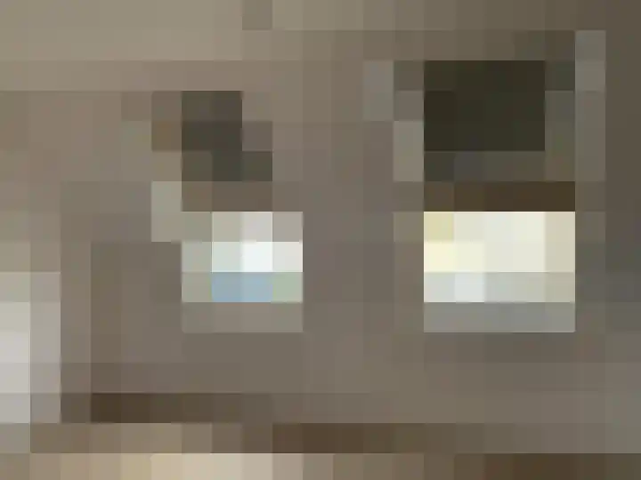 Smelen 46 Veldhoven thumbnail 13