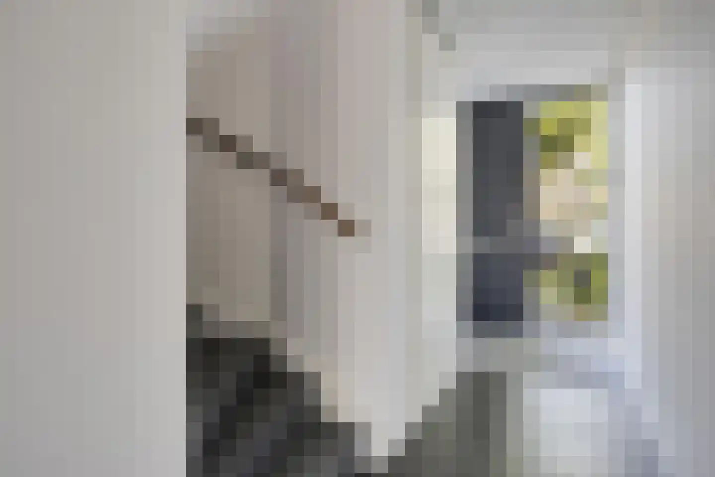 Smelen 46 Veldhoven thumbnail 5