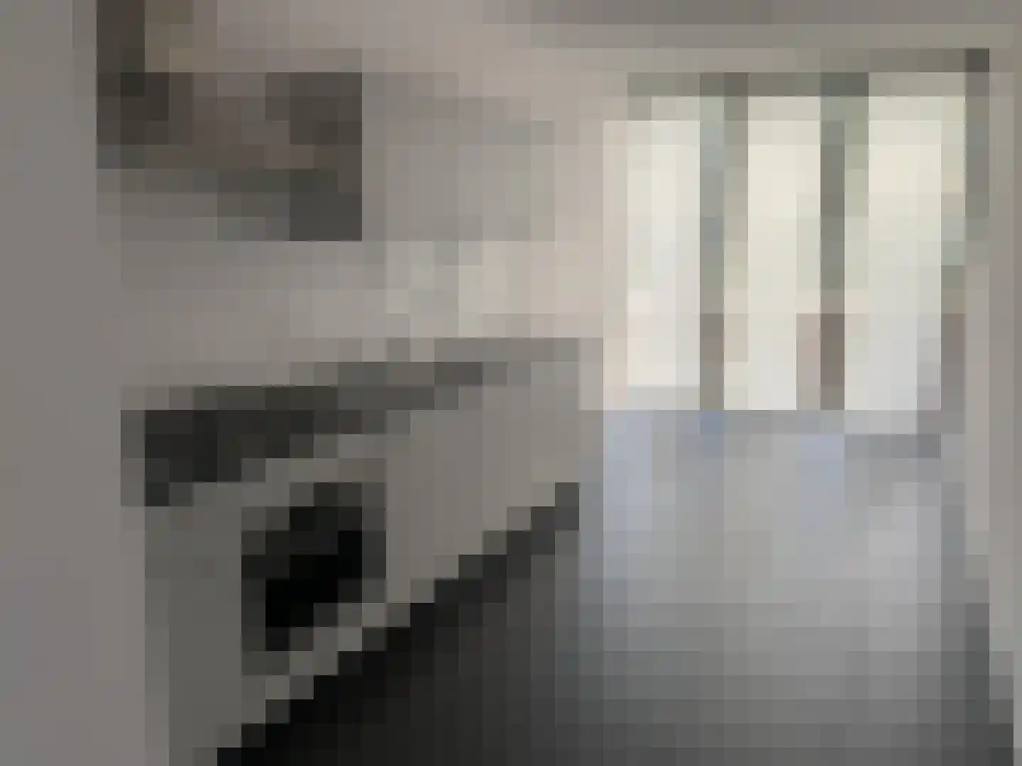 Smelen 46 Veldhoven thumbnail 9