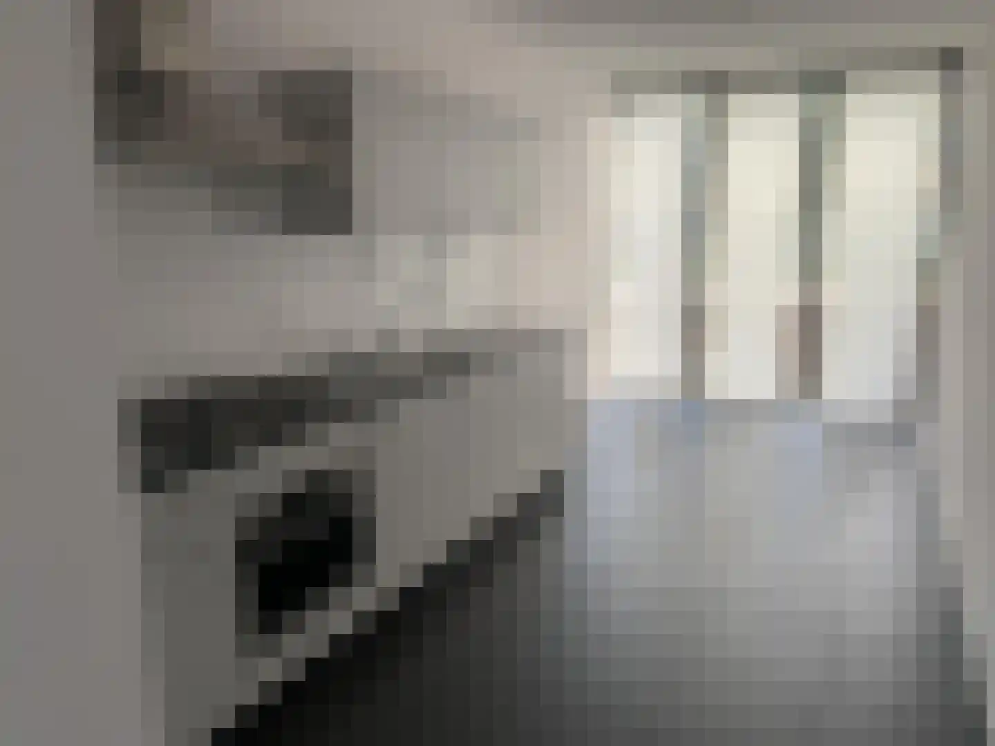 Smelen 46 Veldhoven thumbnail 9