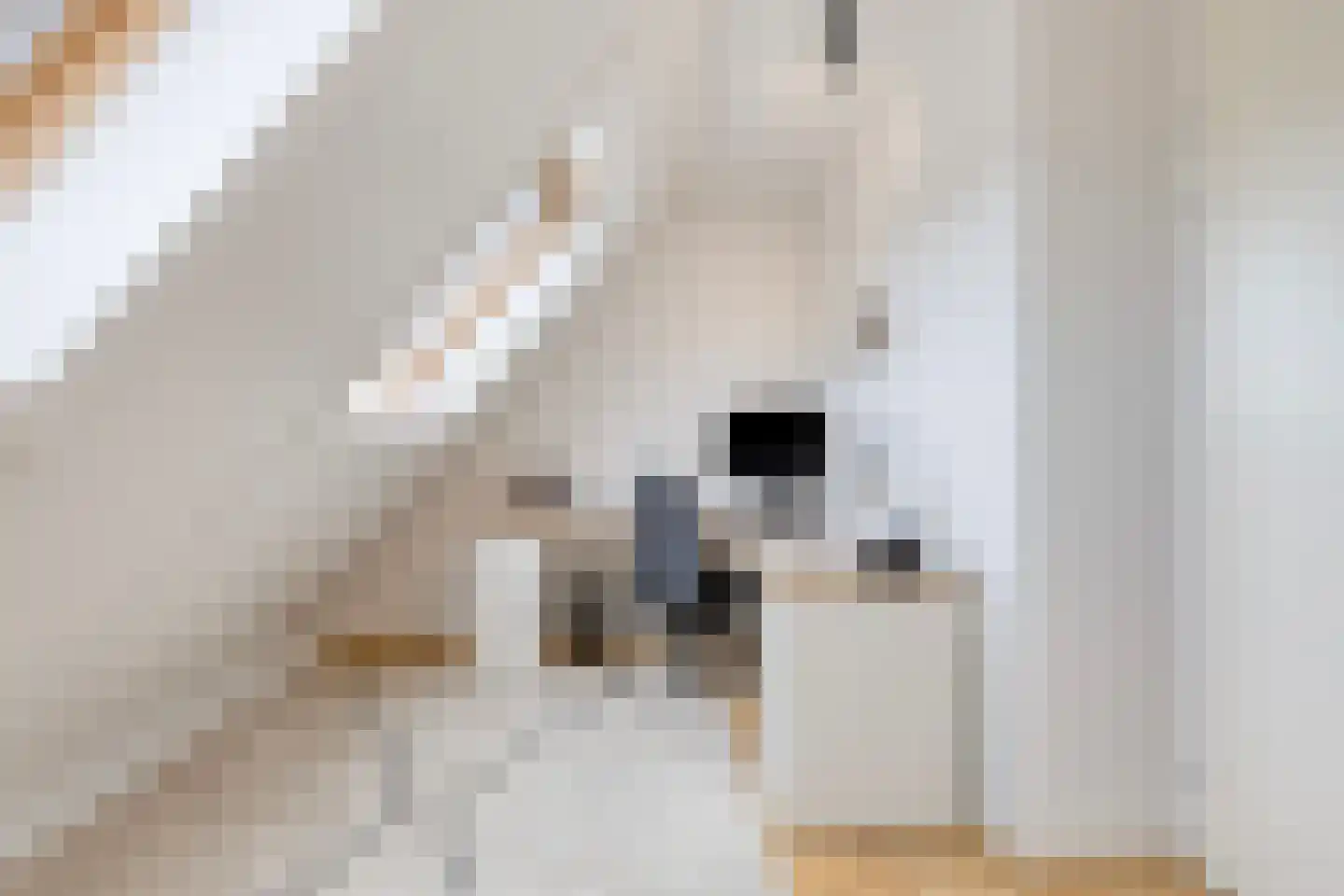 Smelen 48 Veldhoven thumbnail 37