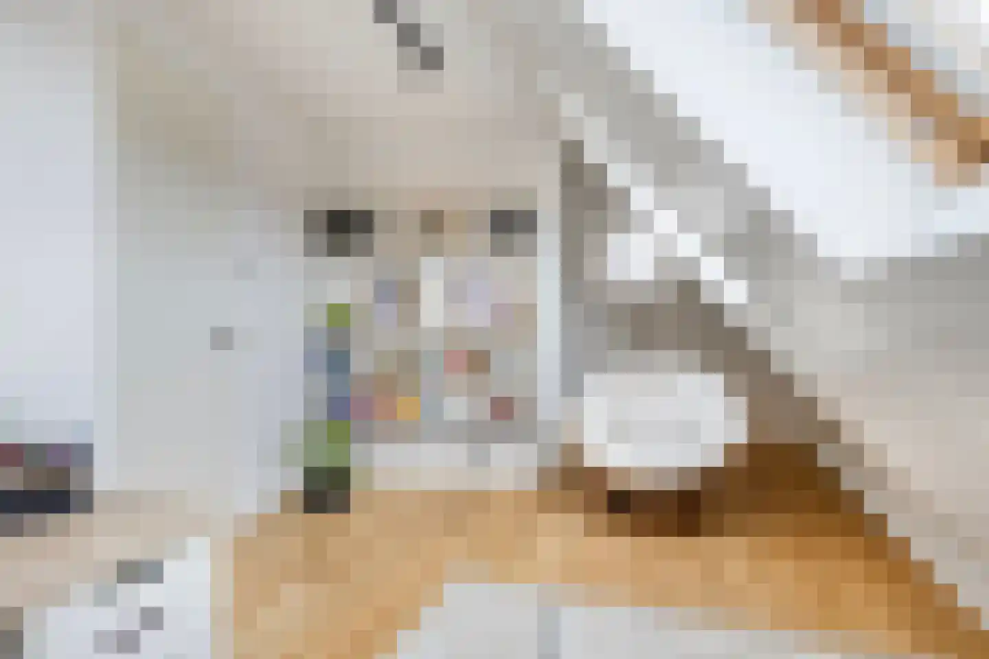 Smelen 48 Veldhoven thumbnail 37