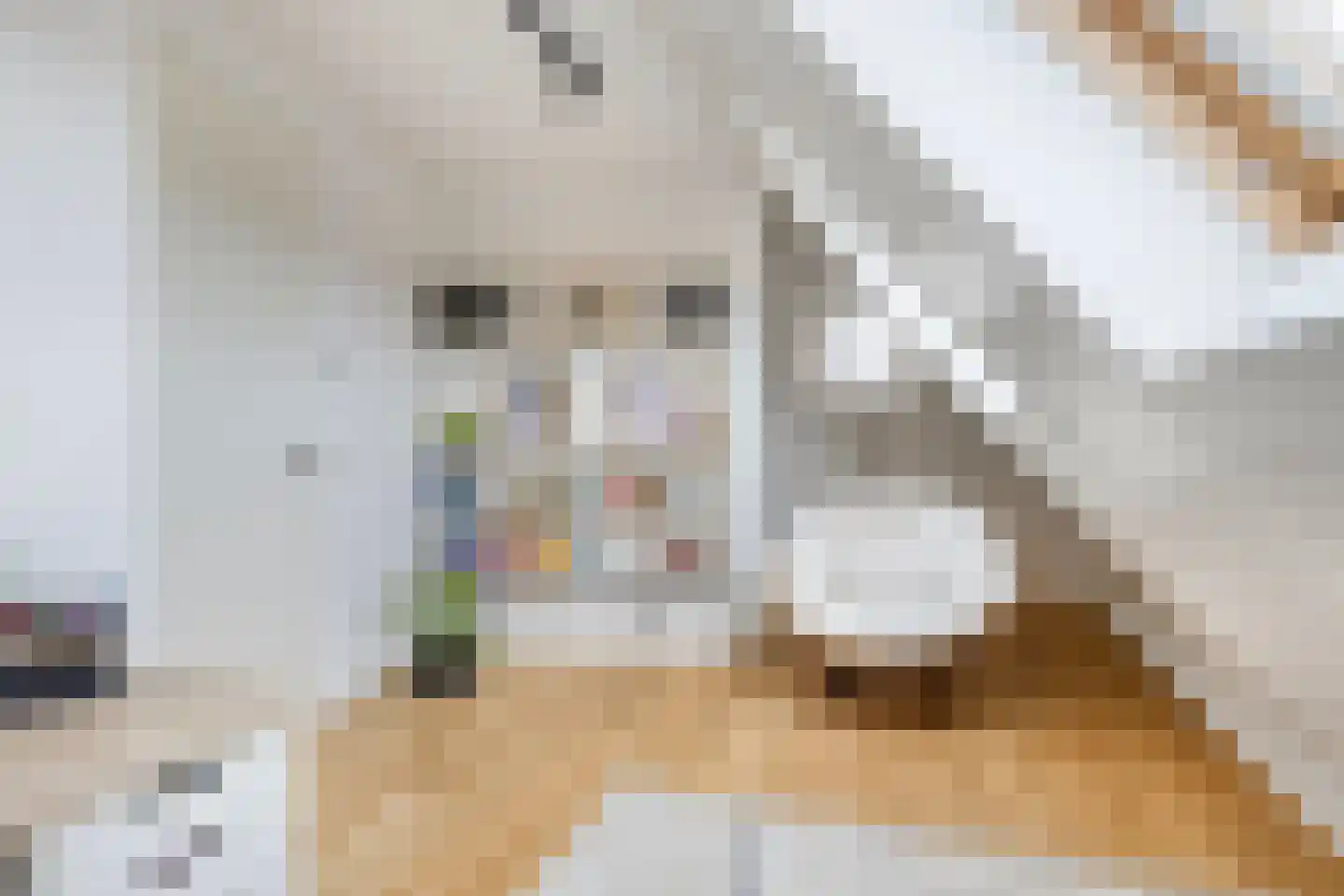 Smelen 48 Veldhoven thumbnail 38
