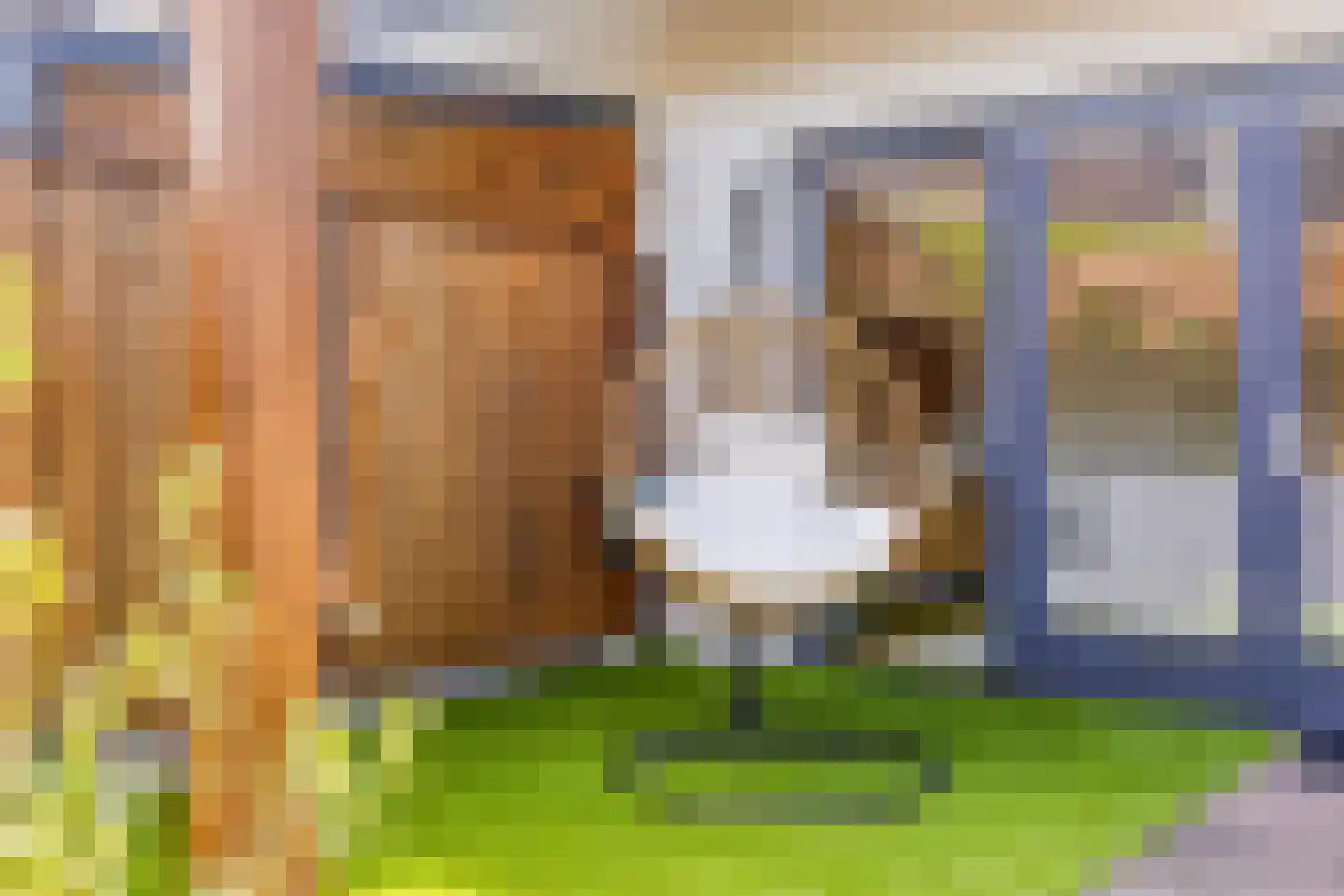 Smelen 48 Veldhoven thumbnail 41