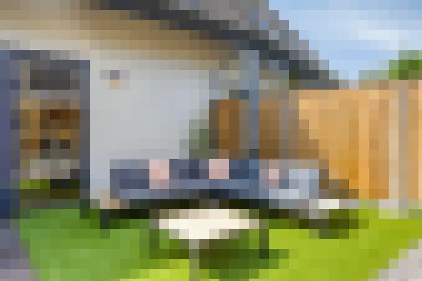 Smelen 48 Veldhoven thumbnail 41