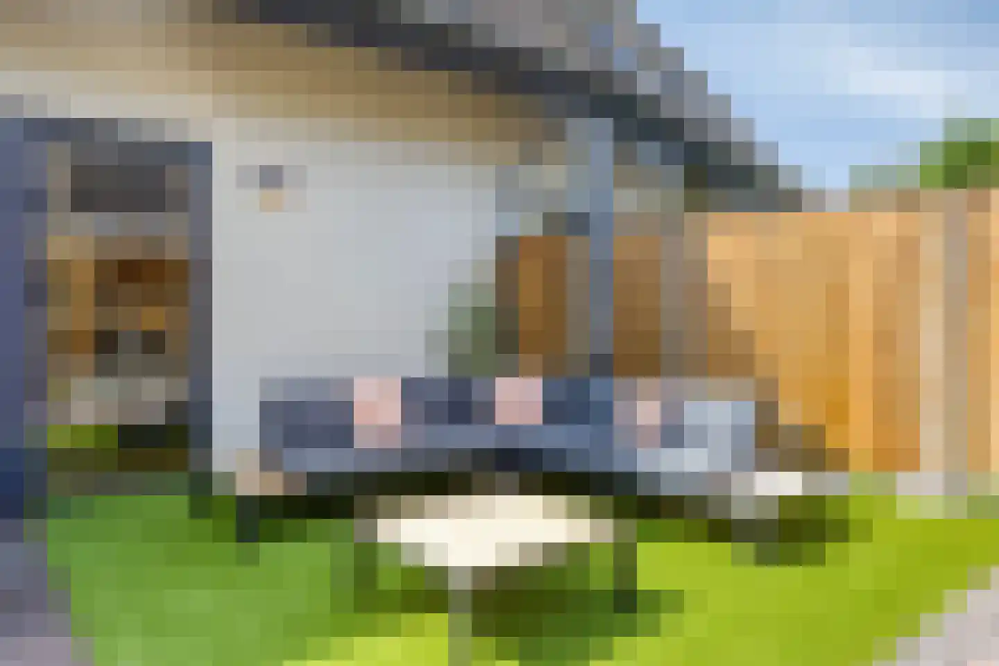 Smelen 48 Veldhoven thumbnail 42