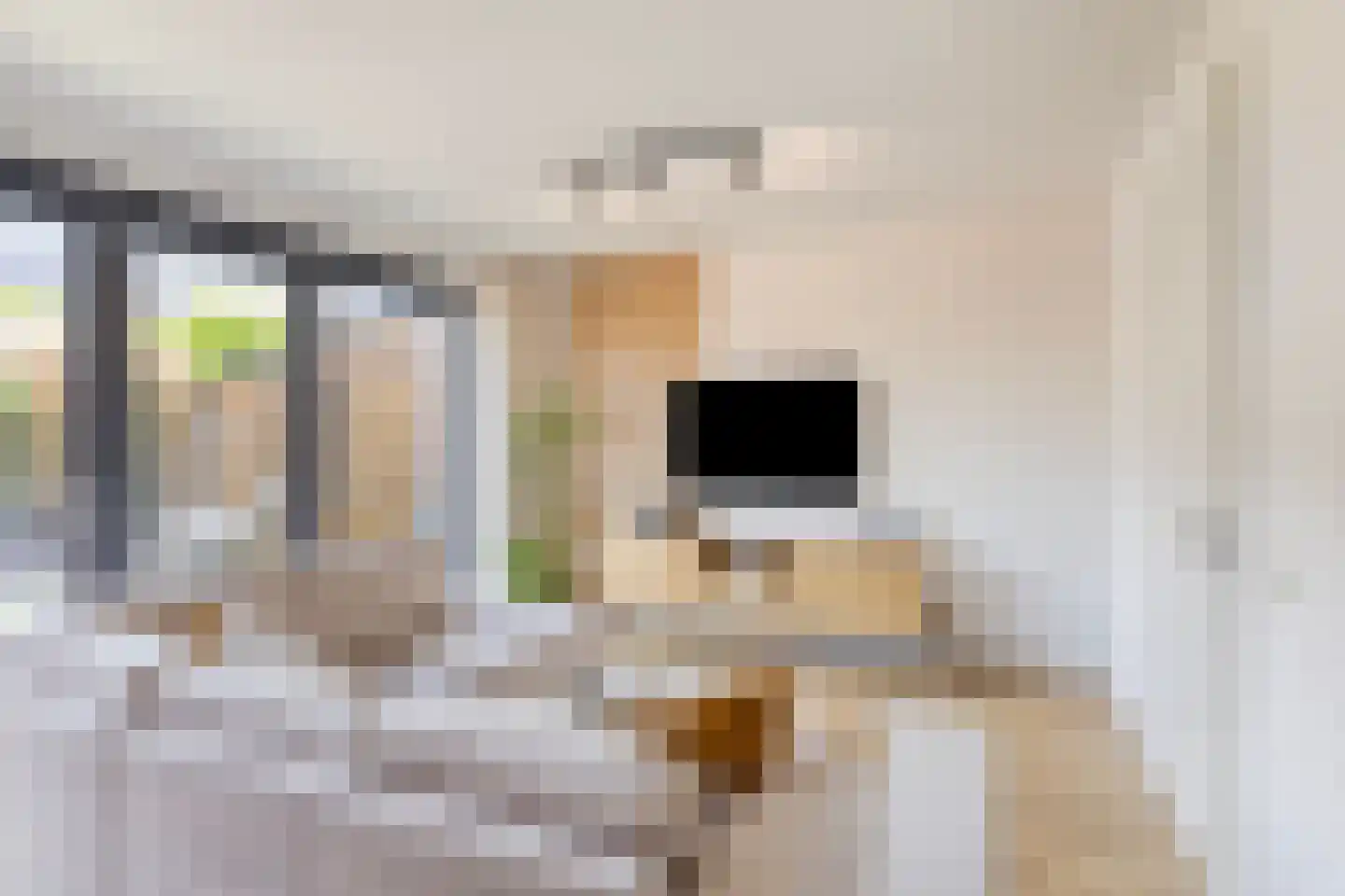 Smelen 48 Veldhoven thumbnail 7