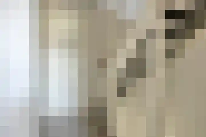 Smelen 62 Veldhoven thumbnail 16