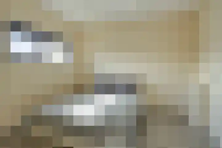 Smelen 62 Veldhoven thumbnail 17