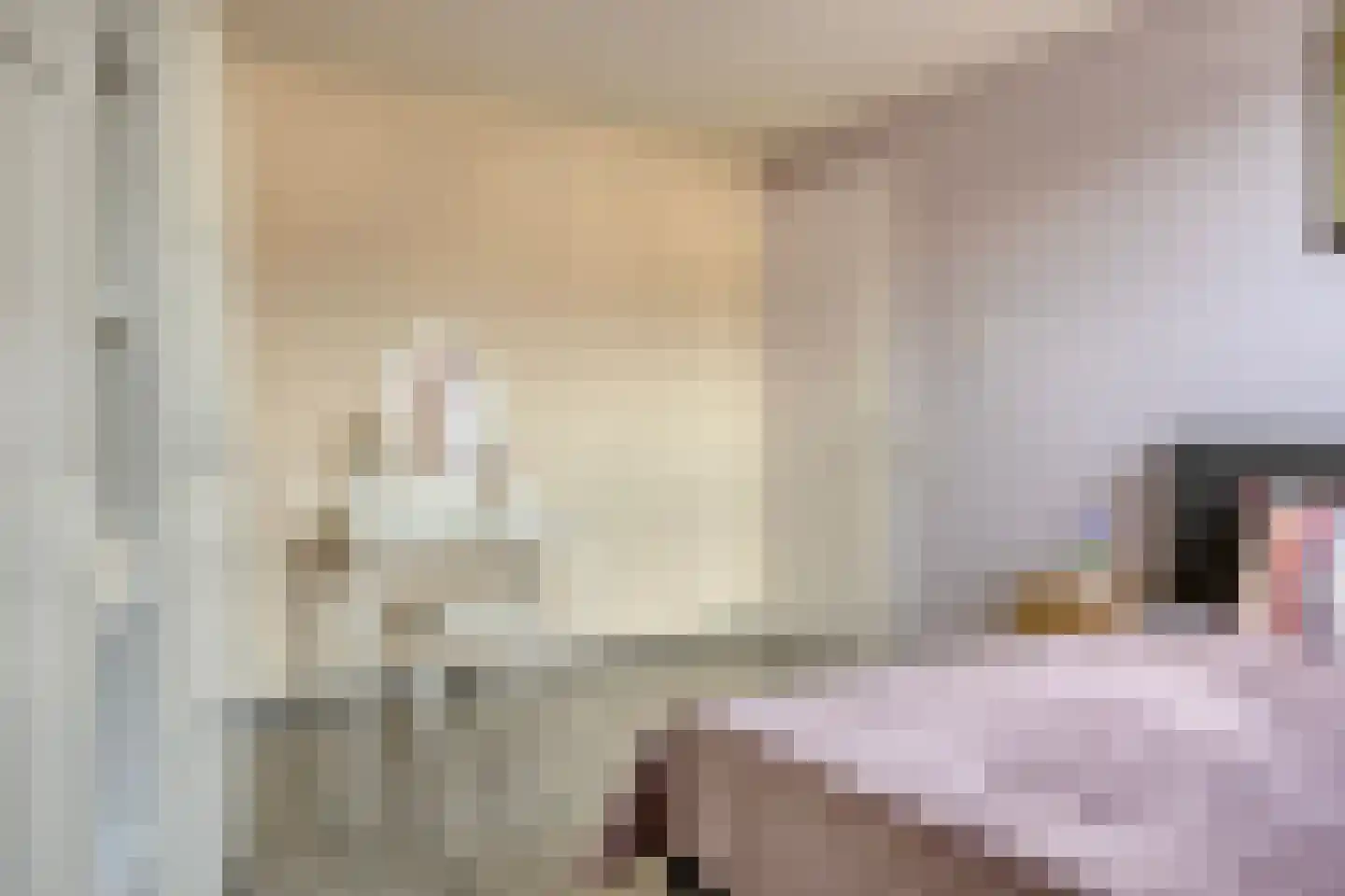 Smelen 62 Veldhoven thumbnail 22