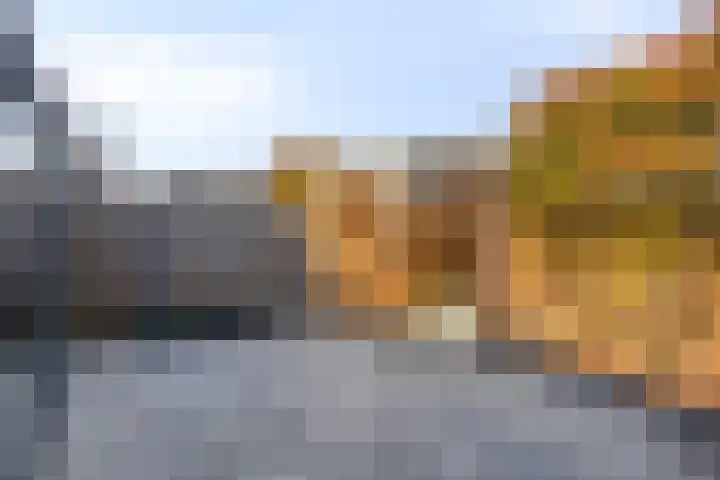Smelen 62 Veldhoven thumbnail 29