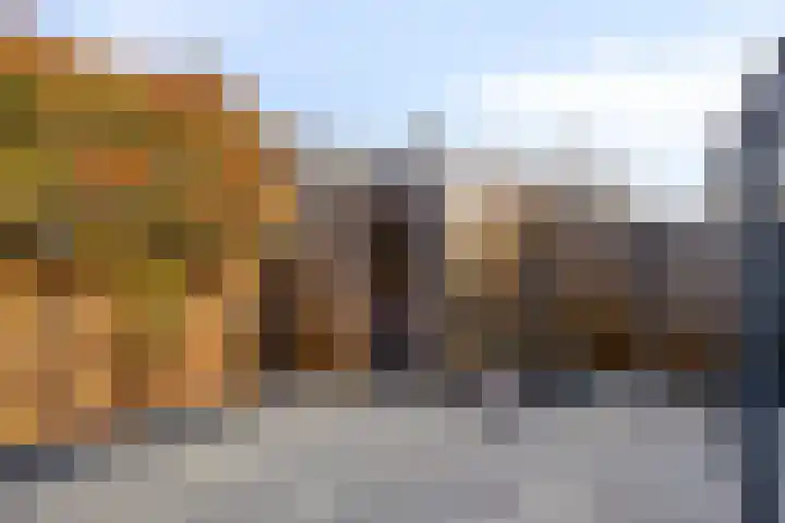 Smelen 62 Veldhoven thumbnail 30
