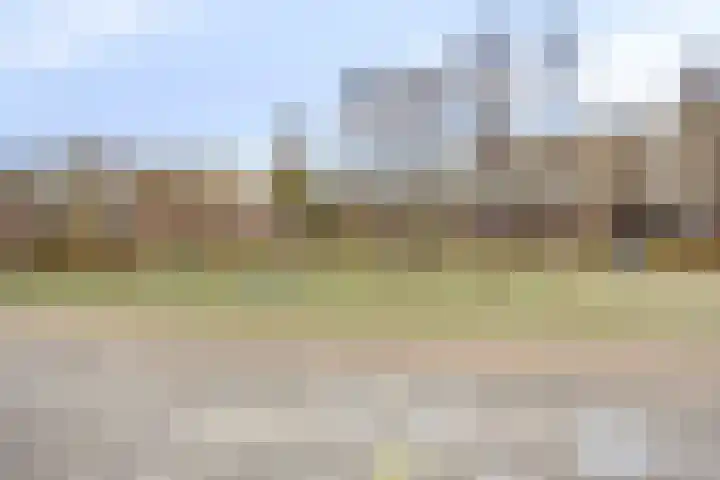 Smelen 62 Veldhoven thumbnail 35