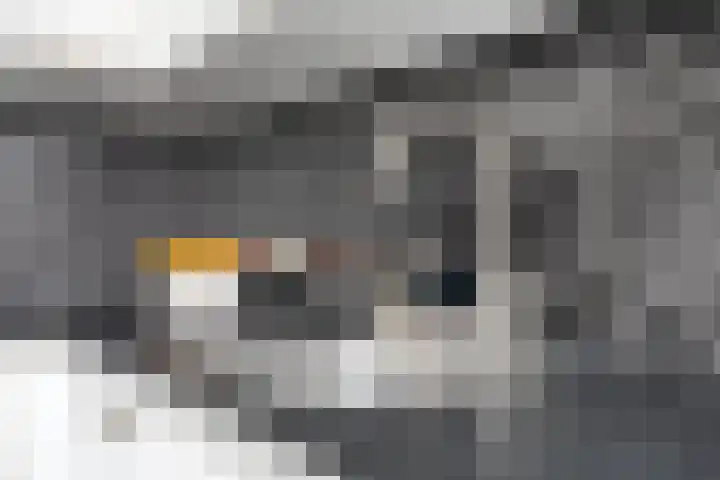 Smelen 73 Veldhoven thumbnail 13