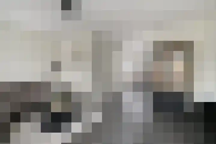 Smelen 73 Veldhoven thumbnail 15