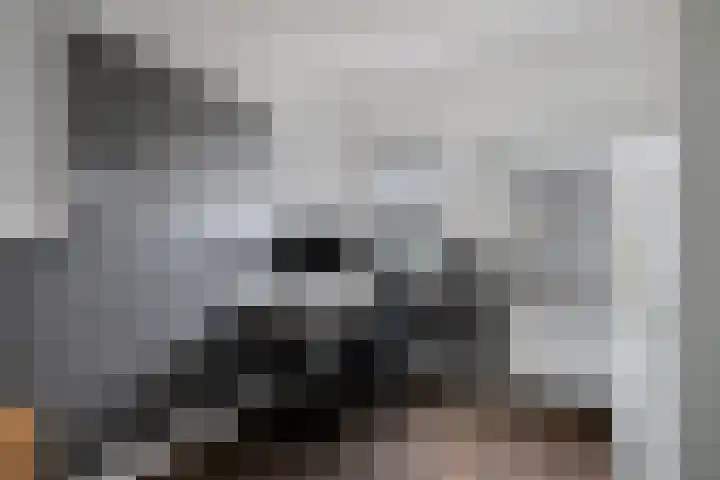 Smelen 73 Veldhoven thumbnail 20