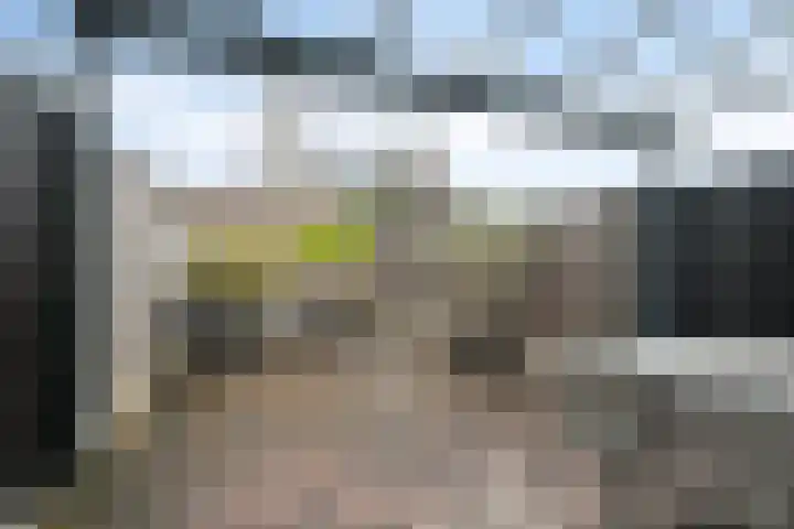 Smelen 73 Veldhoven thumbnail 25