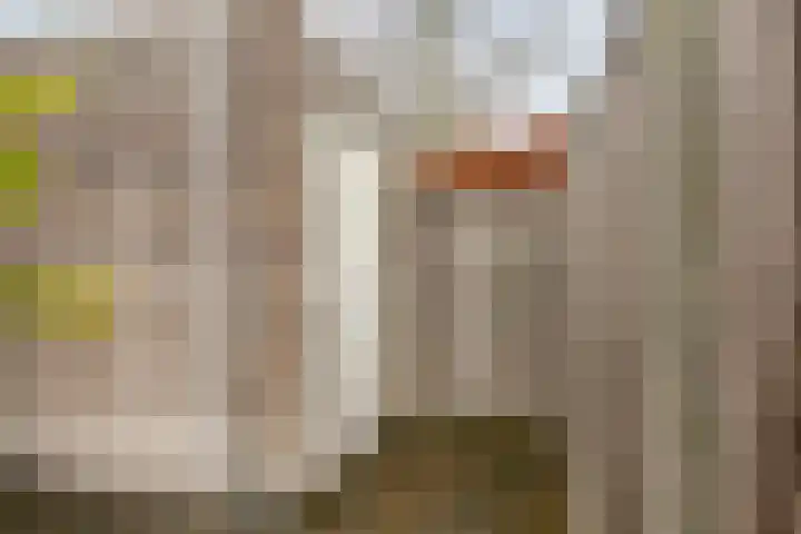 Smelen 73 Veldhoven thumbnail 27