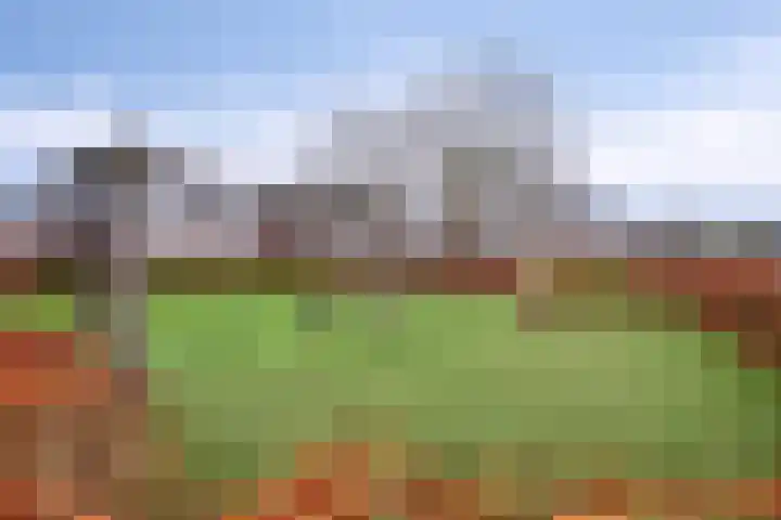 Smelen 73 Veldhoven thumbnail 28