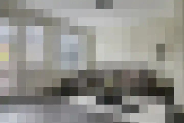 Smelen 73 Veldhoven thumbnail 4