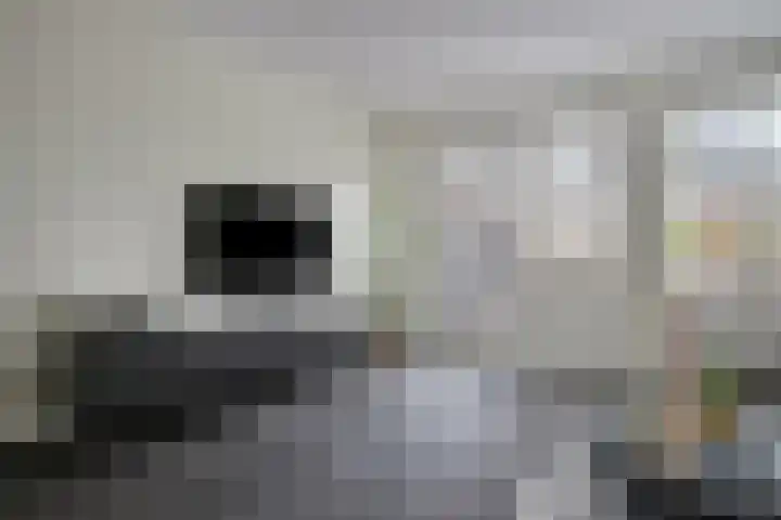 Smelen 73 Veldhoven thumbnail 5