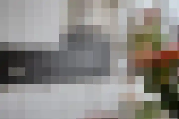 Smelen 73 Veldhoven thumbnail 9