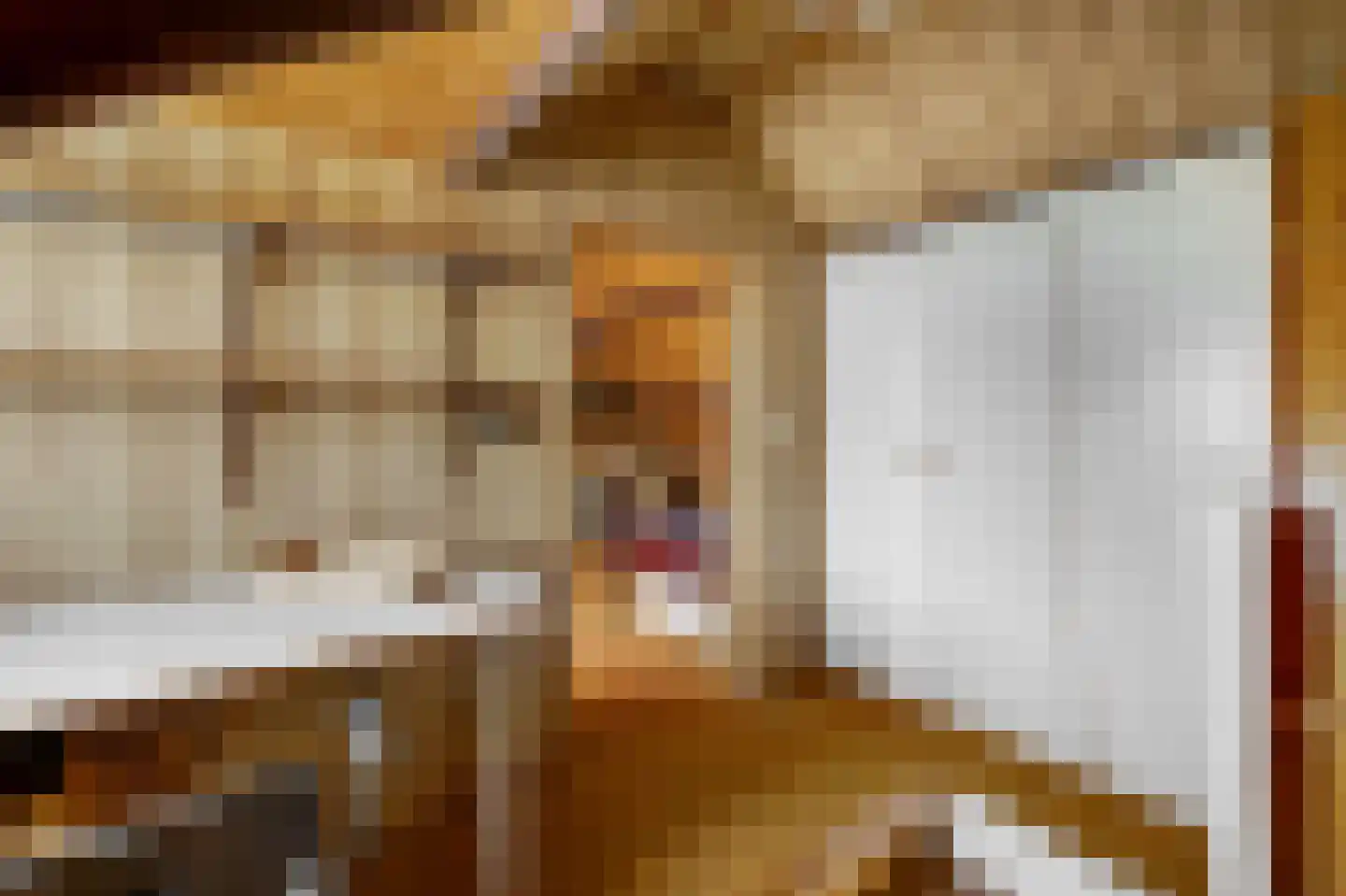 Smeleweg 11 Waalre thumbnail 32