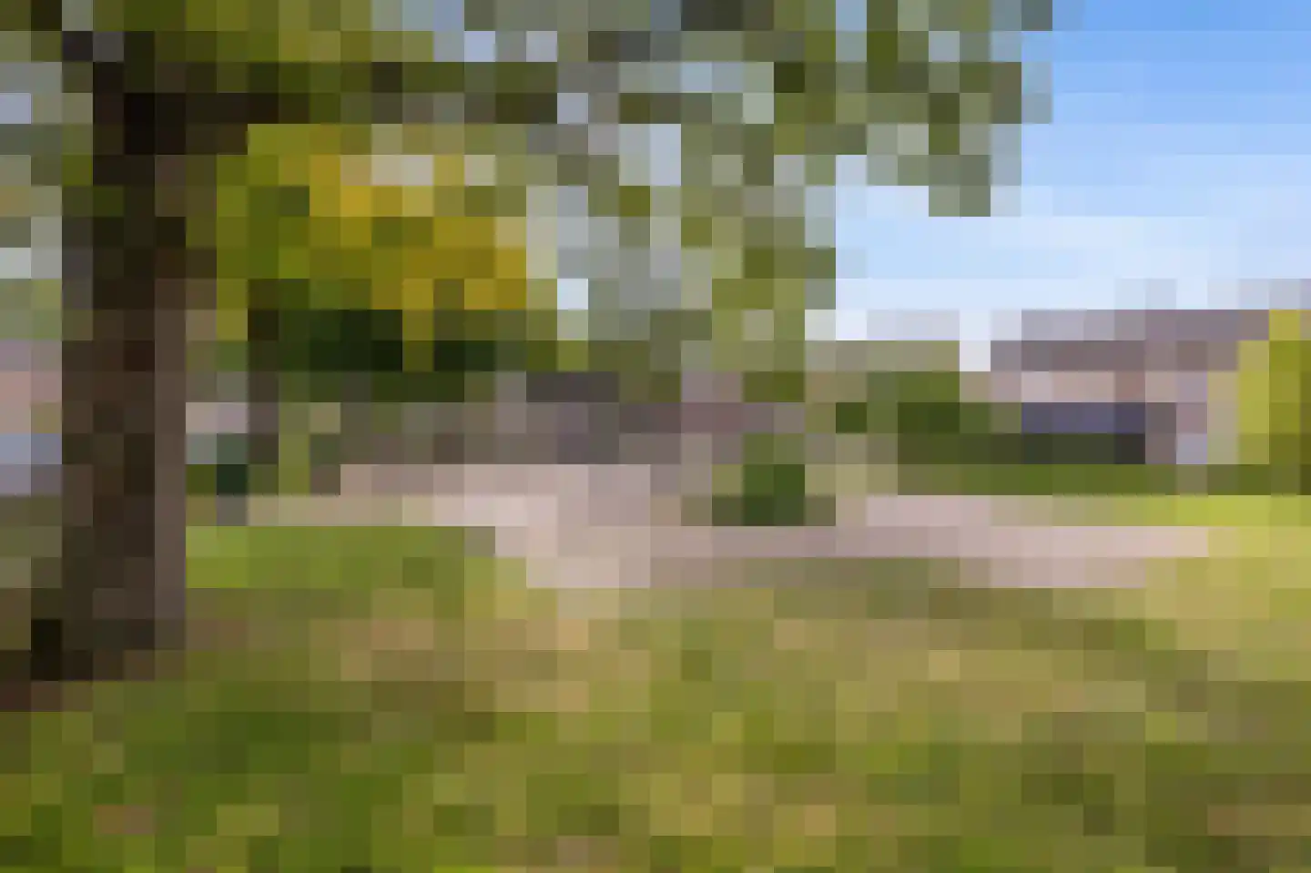 Smeleweg 11 Waalre thumbnail 42