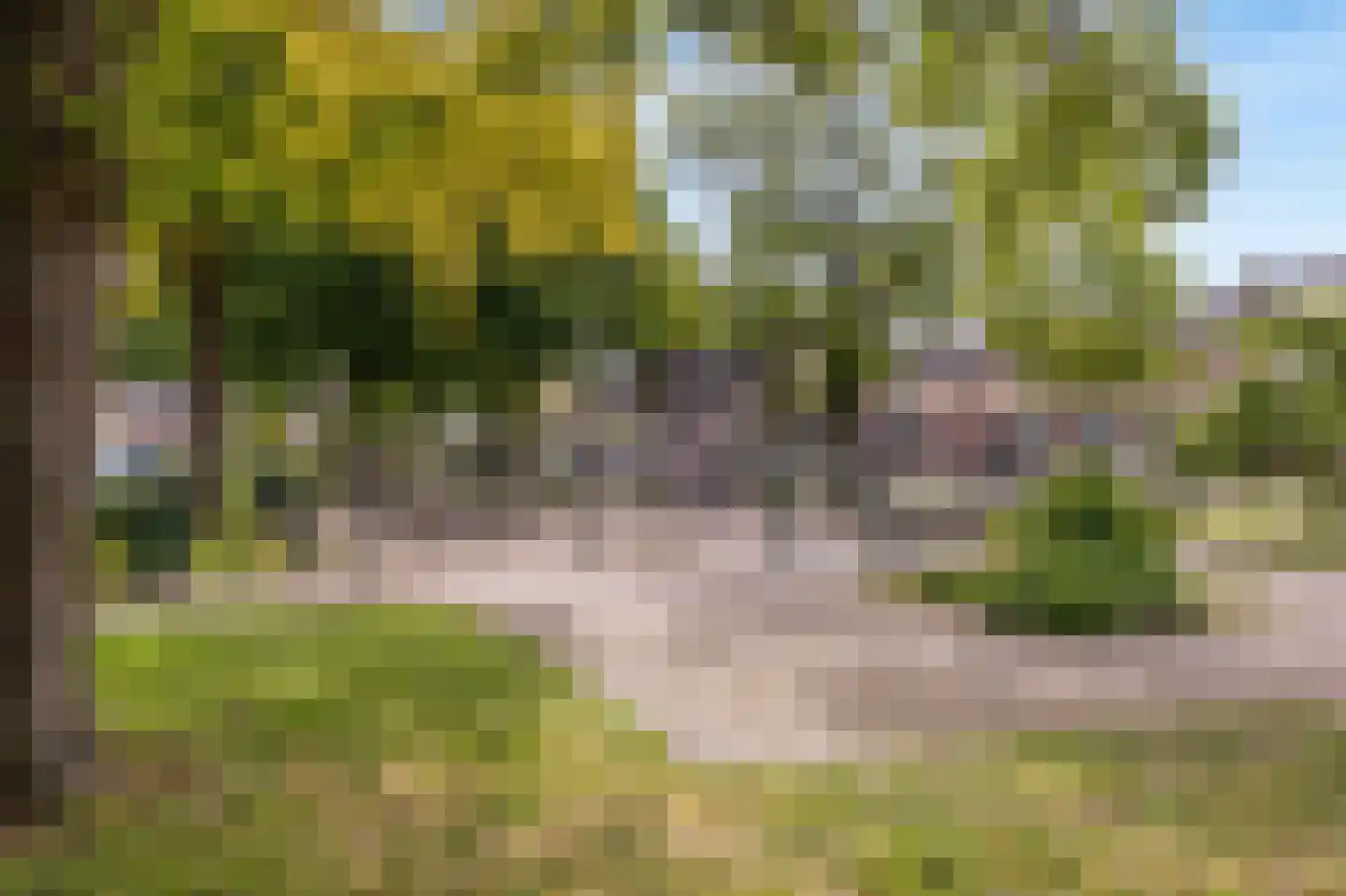 Smeleweg 11 Waalre thumbnail 43