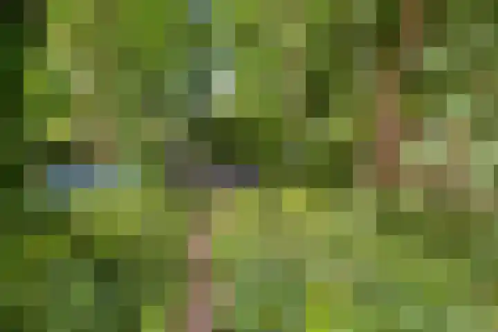Smeleweg 37 Waalre thumbnail 34