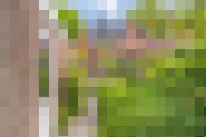 Smeleweg 37 Waalre thumbnail 36