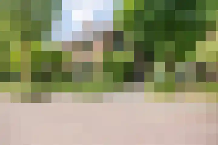 Smeleweg 37 Waalre thumbnail 37