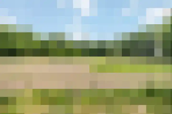 Smeleweg 37 Waalre thumbnail 38