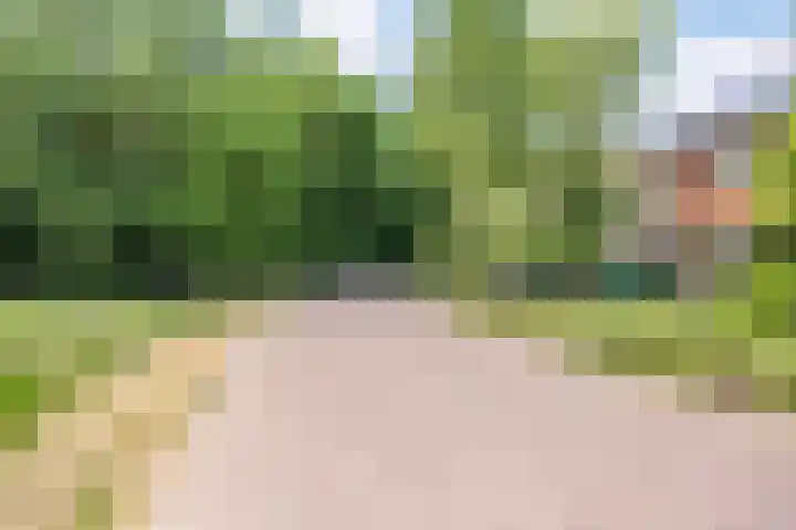 Smeleweg 37 Waalre thumbnail 39