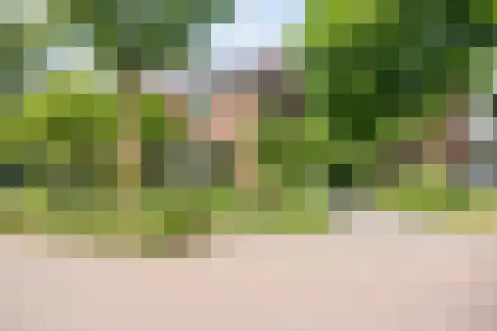 Smeleweg 37 Waalre thumbnail 44