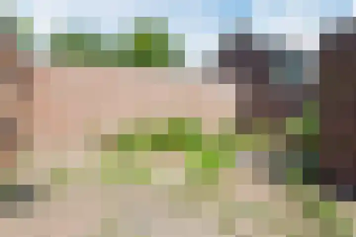 Smeleweg 9 Waalre thumbnail 30