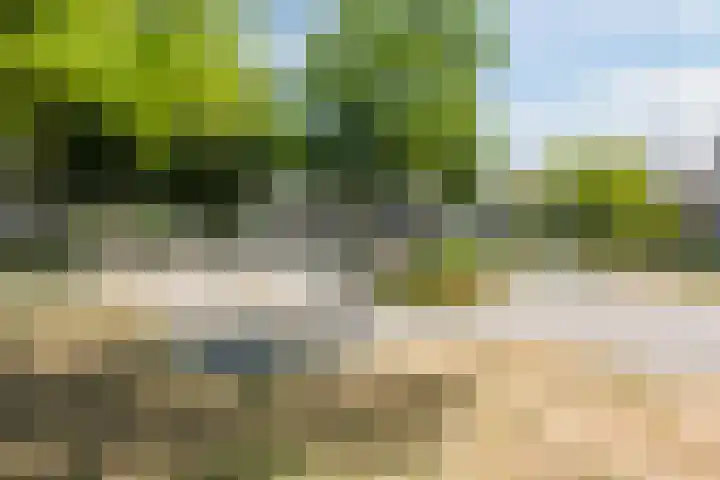 Smeleweg 9 Waalre thumbnail 33